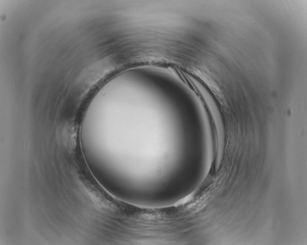 X0000088720160200705311431