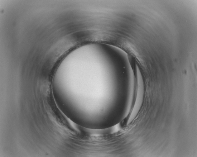 X0000088720164200705311431