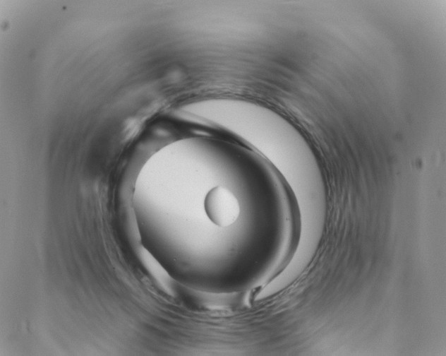 X0000088720168200705311431