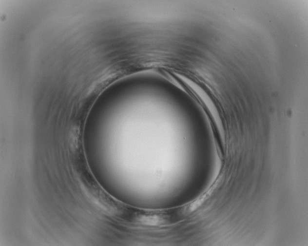 X0000088720171200705311431