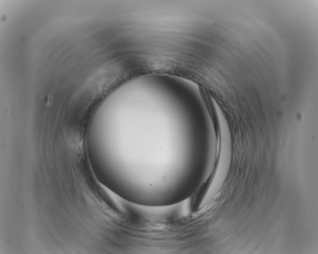 X0000088720176200705311431