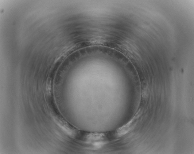 X0000088720179200705311432