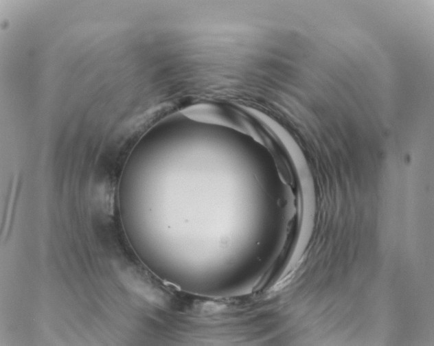 X0000088720180200705311432