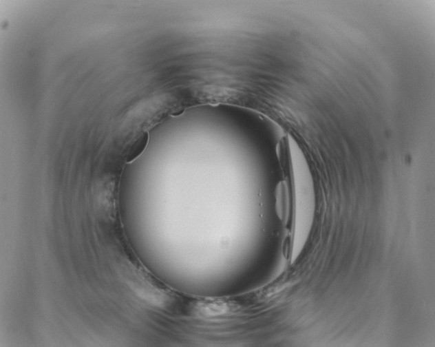 X0000088720181200705311432