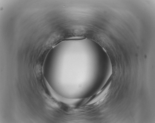 X0000088720184200705311432