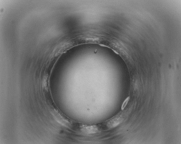 X0000088720185200705311432