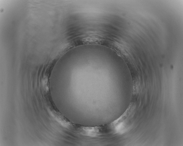 X0000088720187200705311432