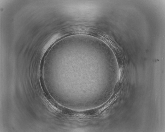 X0000088720195200705311431