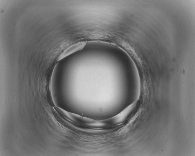 X0000088720201200705311431