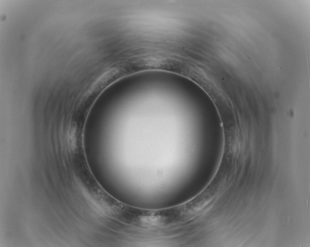 X0000088720216200705311431