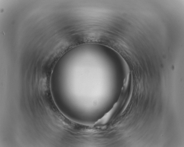 X0000088720224200705311430