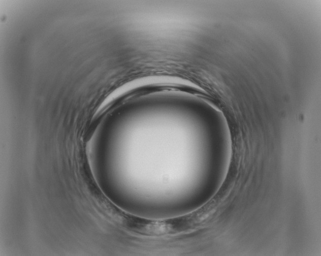 X0000088720225200705311430