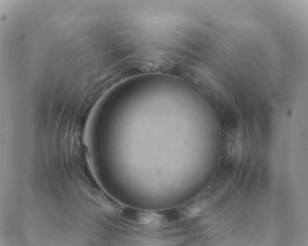 X0000088720226200705311430