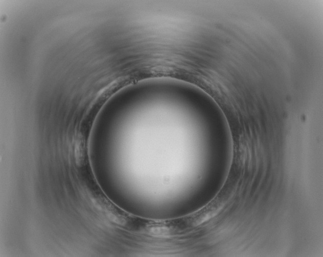 X0000088720228200705311430