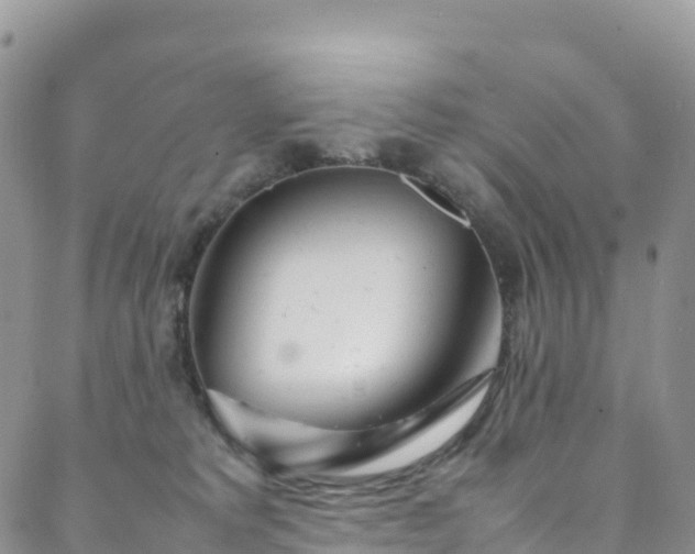 X0000088720229200705311430