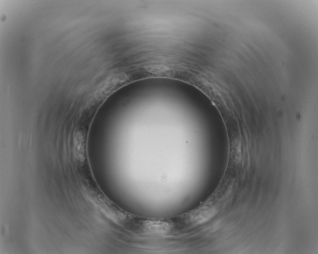 X0000088720234200705311430