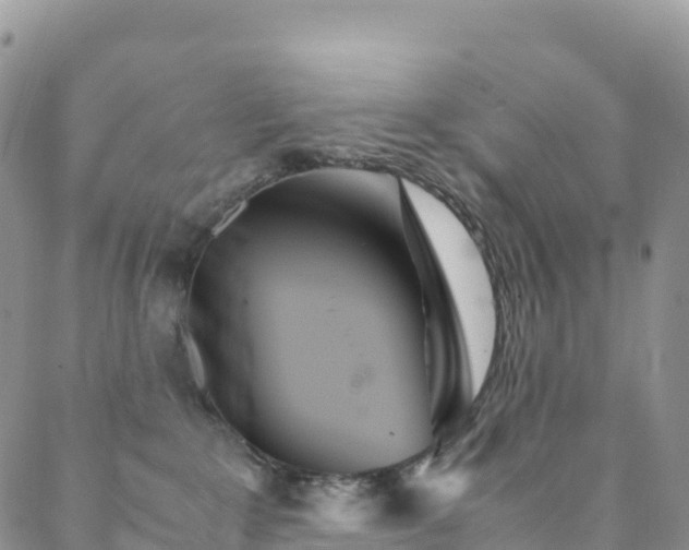 X0000088720235200705311430