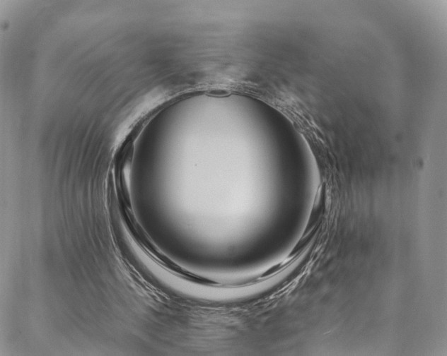 X0000088720244200705311429