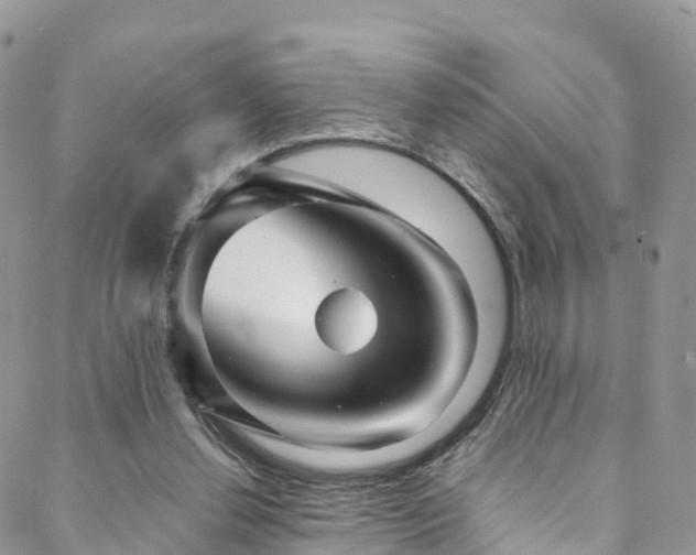 X0000088720252200705311430
