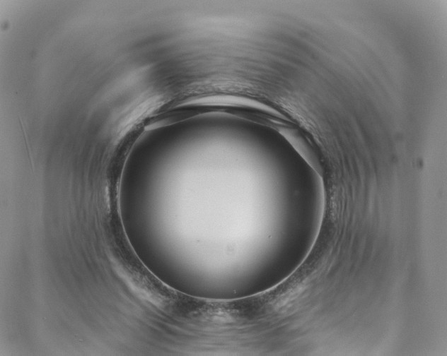 X0000088720254200705311430