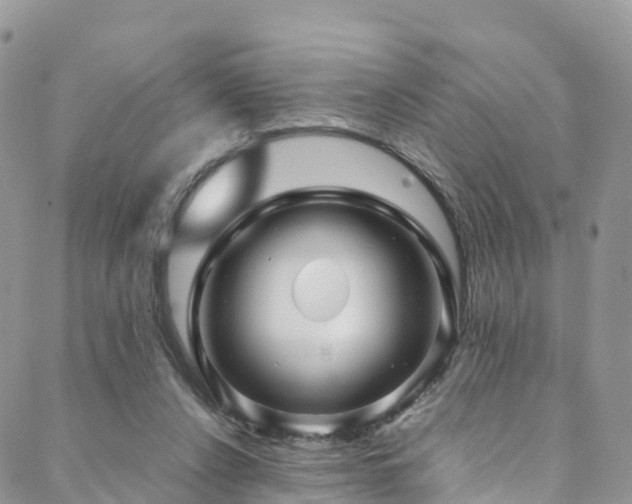 X0000088720256200705311430