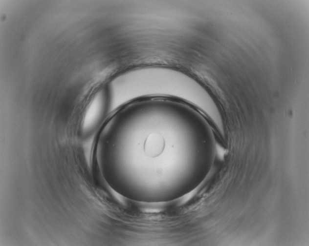 X0000088720260200705311430