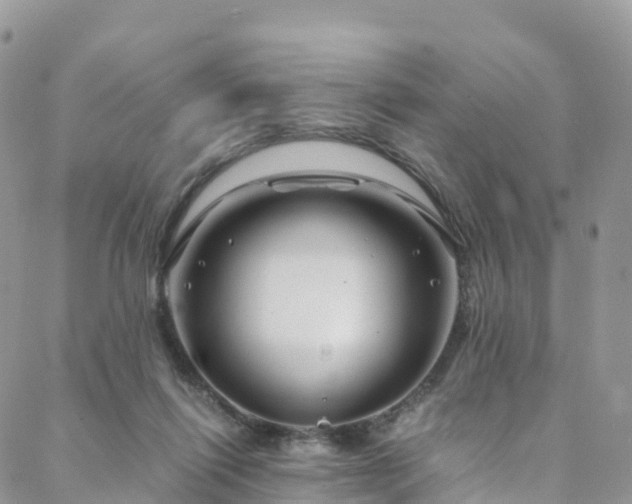 X0000088720262200705311430