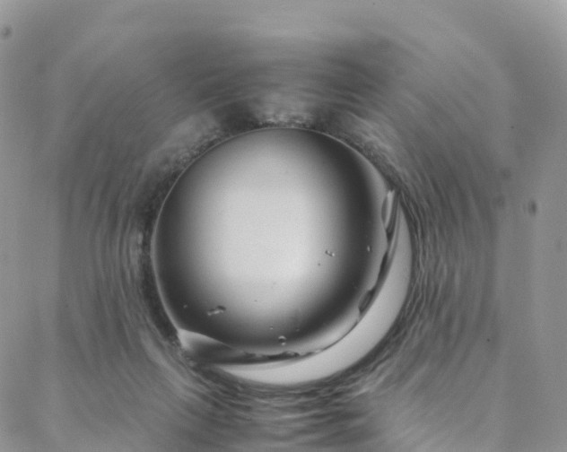 X0000088720263200705311430