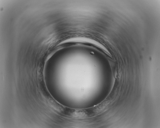 X0000088720270200705311430