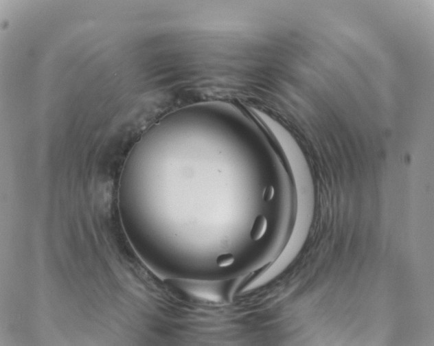 X0000088720271200705311430