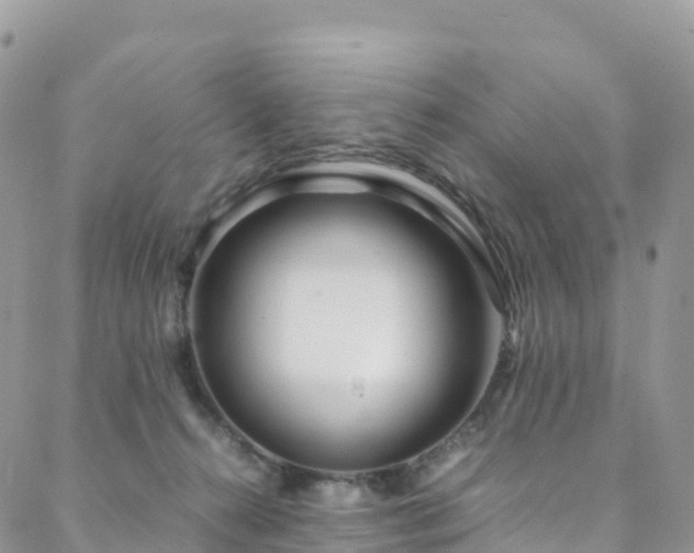 X0000088720272200705311430