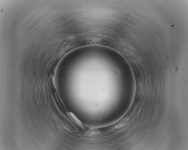 X0000088720274200705311430