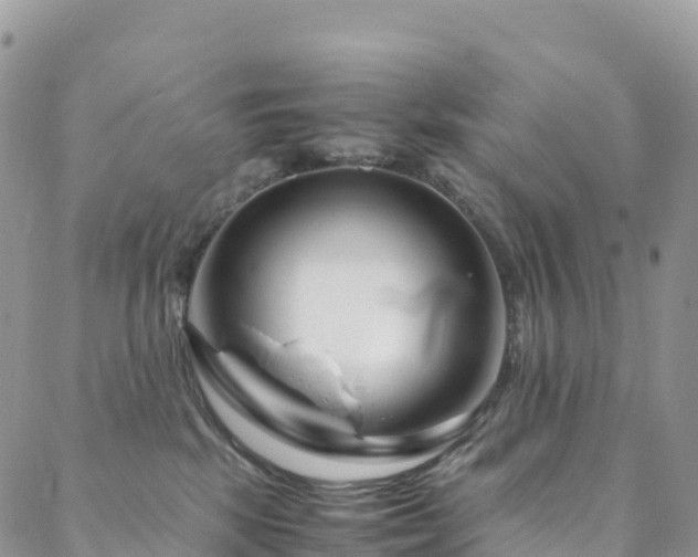X0000088720281200705311430