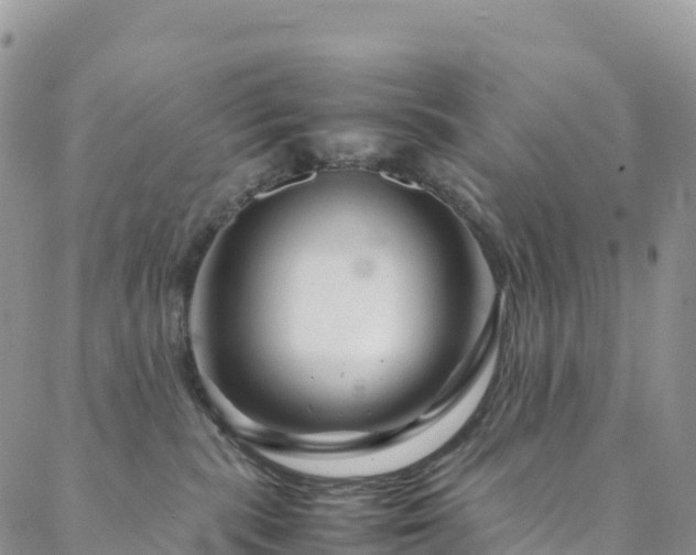 X0000088720283200705311430