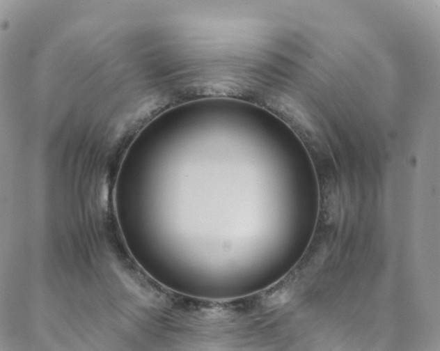 X0000088720310200705311429