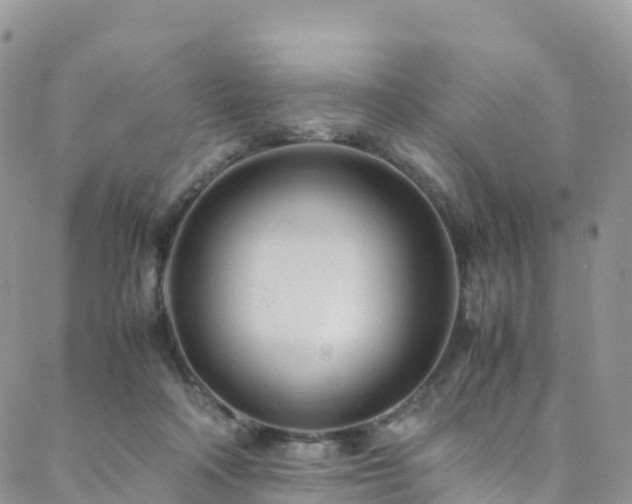 X0000088720314200705311429