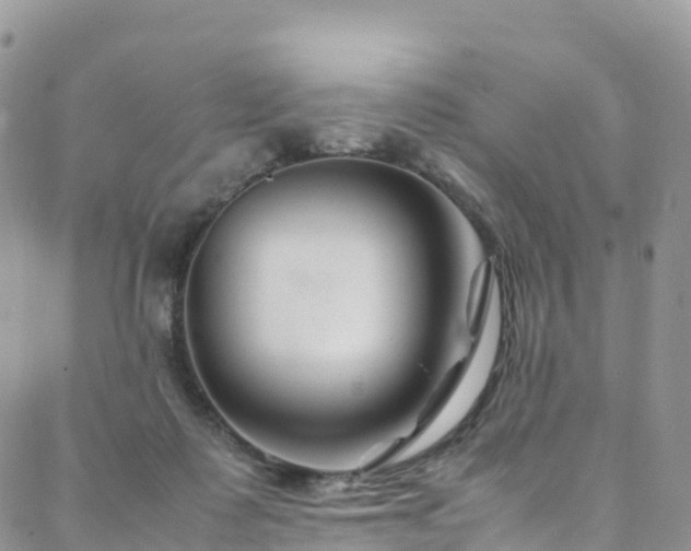 X0000088720315200705311429