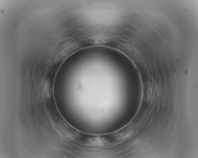 X0000088720316200705311429