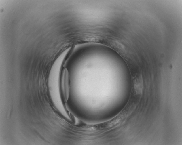 X0000088720322200705311429
