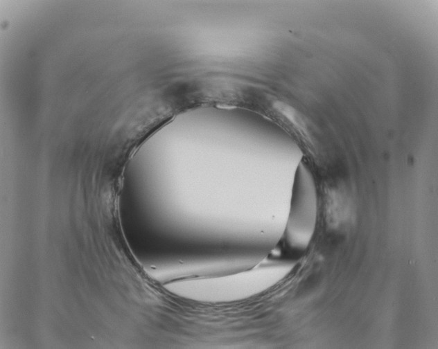 X0000088720333200705311429