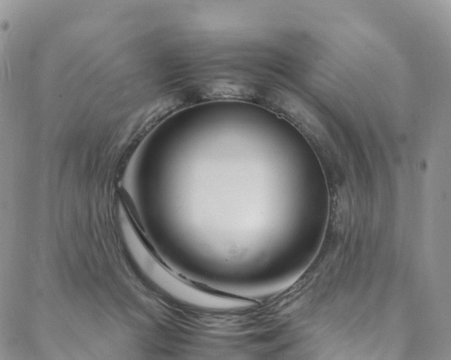 X0000088720361200705311428