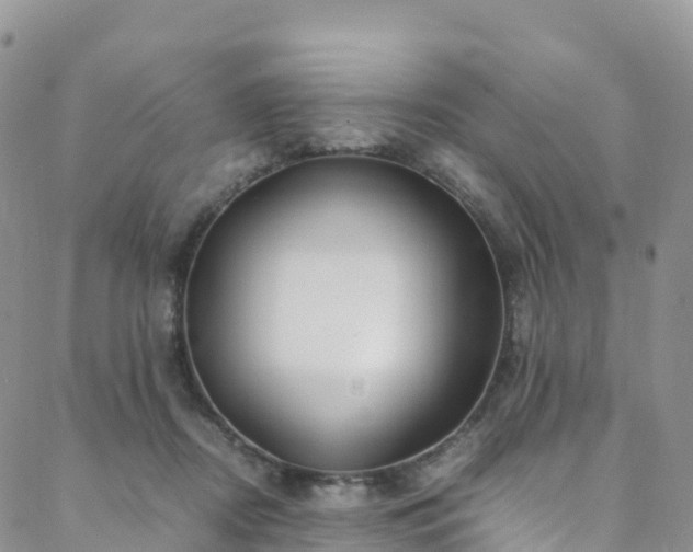 X0000088720362200705311428