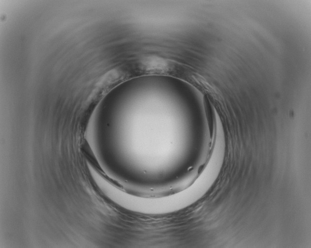 X0000088720379200705311429
