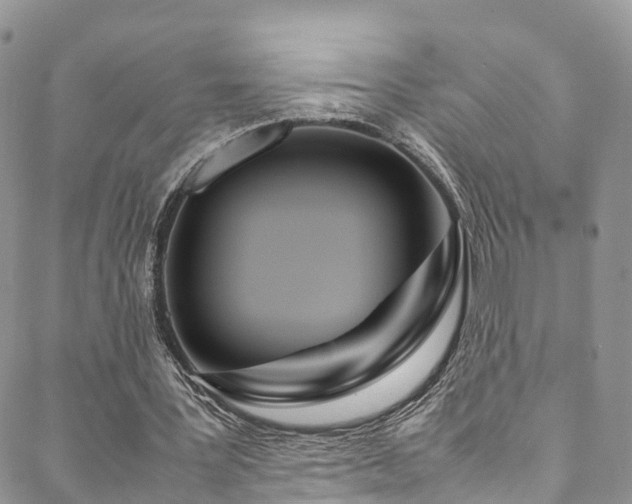 X0000088720387200705311428