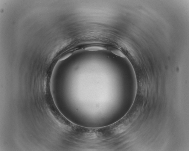 X0000088720404200705311428