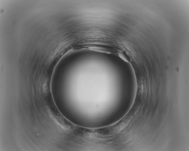 X0000088720408200705311427