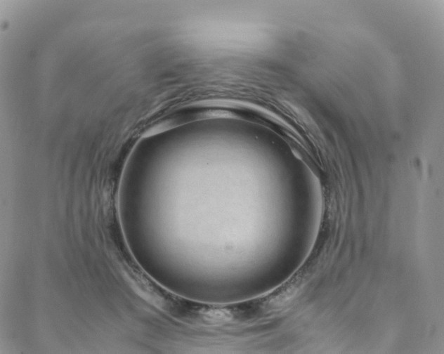 X0000088720409200705311427