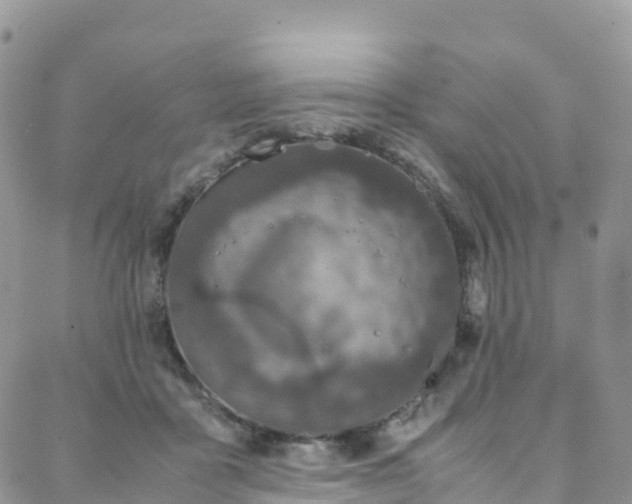 X0000088720411200705311427
