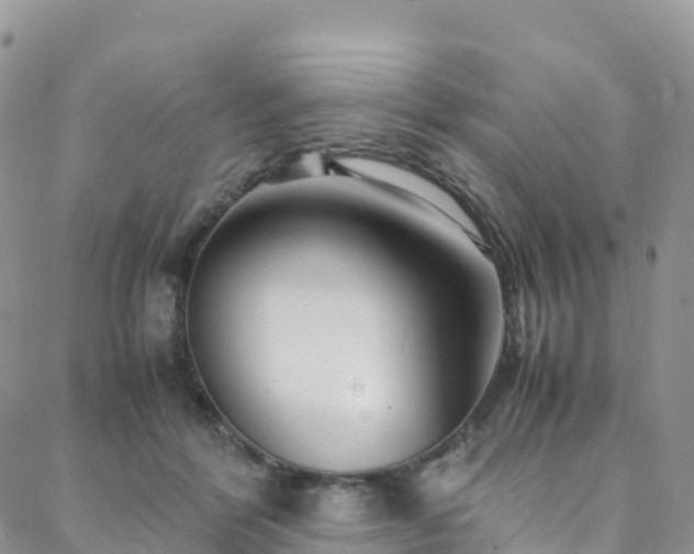 X0000088720412200705311427