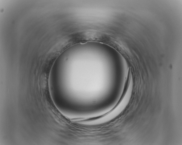 X0000088720413200705311427